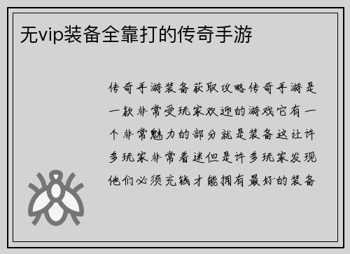 无vip装备全靠打的传奇手游