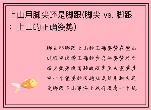 上山用脚尖还是脚跟(脚尖 vs. 脚跟：上山的正确姿势)